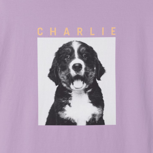 Signature Snapshot • Tee