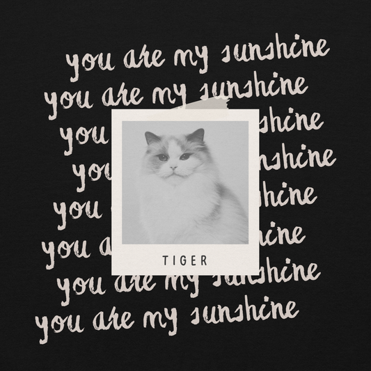 You Are My Sunshine • Hoodie